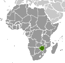locatezim